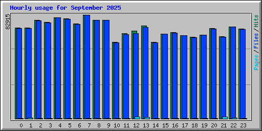 Hourly usage for September 2025